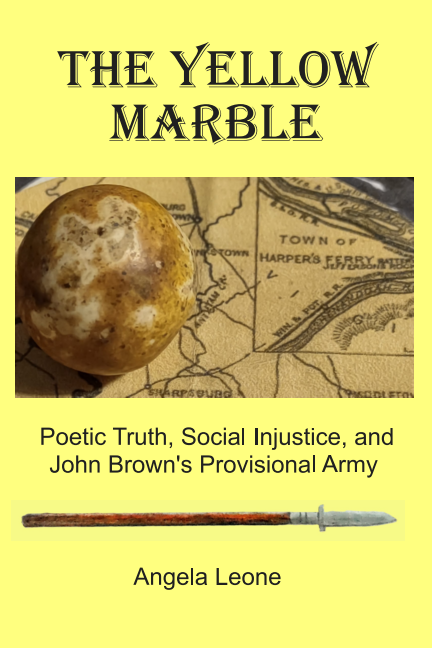 The Yellow Marble book cover